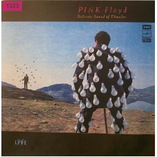 Pink Floyd: «Delicate Sound Of Thunder» (1323)