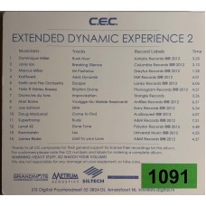 Various: «STS Digital: Extended Dynamic Experience Vol.2»