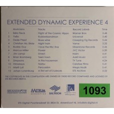 Various: «STS Digital: Extended Dynamic Experience Vol.4»