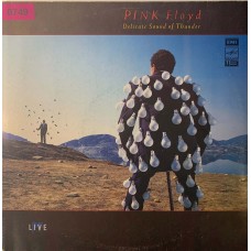 Pink Floyd: «Delicate Sound Of Thunder» (0749)