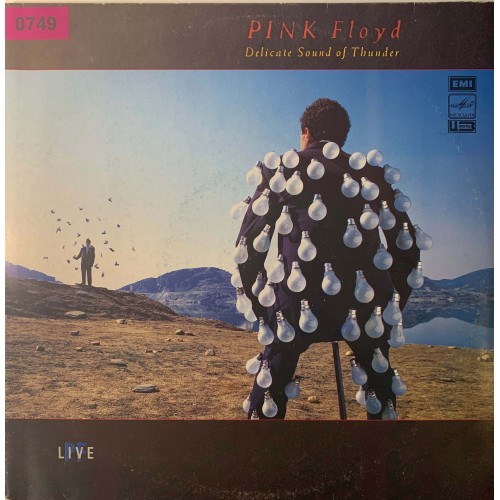 Pink Floyd: «Delicate Sound Of Thunder» (0749)