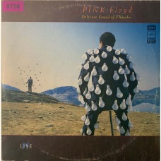 Pink Floyd: «Delicate Sound Of Thunder» (0750)