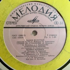 Вадим Мулерман (2567)