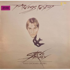 Steve Harley And Cockney Rebel: «Timeless Flight»