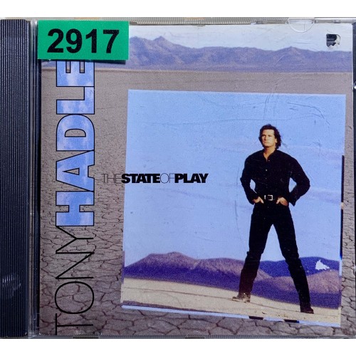 Tony Hadley: «The State Of Play»