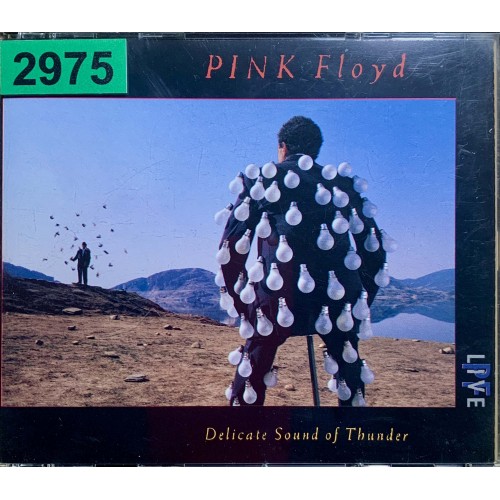 Pink Floyd: «Delicate Sound Of Thunder» (2975)
